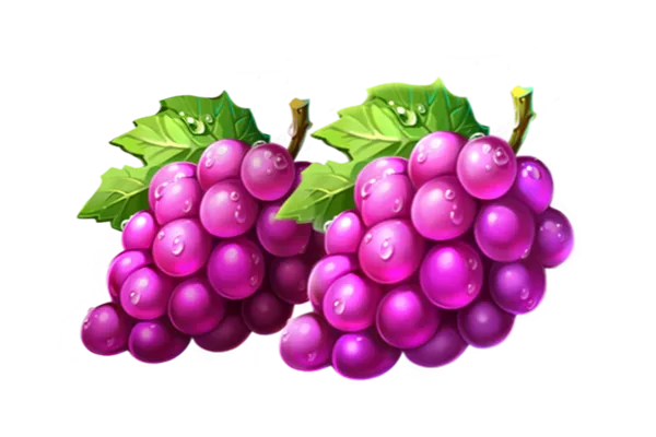 A bunch of green and purple grapes